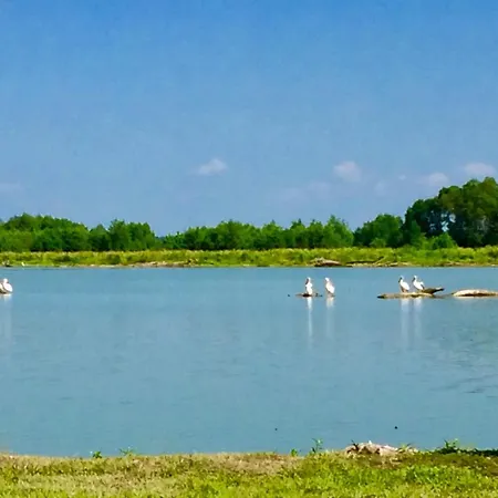 Outback Campground And Marina Trinity Exterior foto
